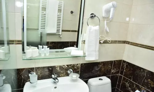 هتل روستاولی پالاس تفلیس